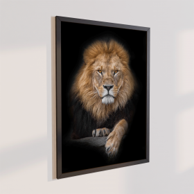 Quadro Decorativo Leão de Juda Colorido 70x50 com Moldura