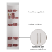 Armario Cozinha 2 Portas 4 Prateleiras Compact - Branco
