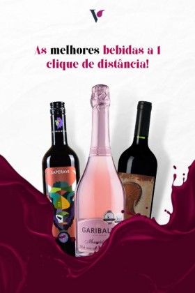 Vinho Tinto Casa Valduga Terroir Exclusivo Syrah | Viognier 750 Ml